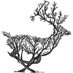 Deer Silhouette