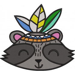Ethnic Raccoon