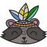 Ethnic Raccoon