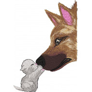 Cat Dog