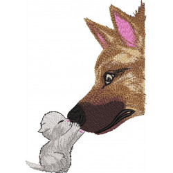 Cat Dog