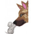 Cat Dog