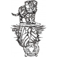 Feline Reflections