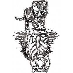 Feline Reflections