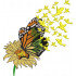 Flower Butterfly