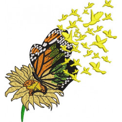 Flower Butterfly