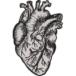 Heart Sketch