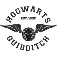 The Sport Of Wizards