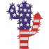 USA Cactus Patriotic