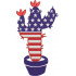 USA Cactus Patriotic