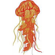 Jelly Fish