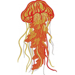 Jelly Fish