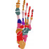 Foot Skeleton
