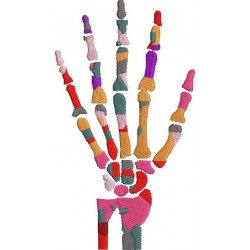 Hand Skeleton Design