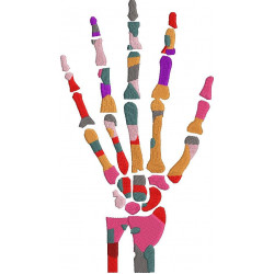 Hand Skeleton Design