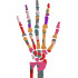 Hand Skeleton Design