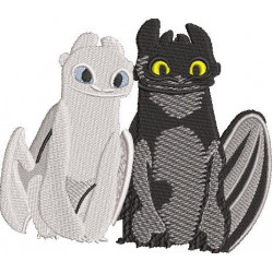 Toothless & Light Fury