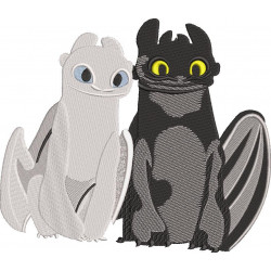 Toothless & Light Fury
