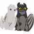 Toothless & Light Fury