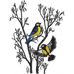 Birds on Tree