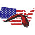 Flag Eagle large