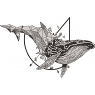 Geometrical Whale