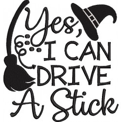 Yes I Can Drive a Stick