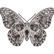 Skull Butterfly