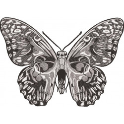 Skull Butterfly