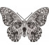 Skull Butterfly
