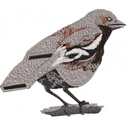 Bird Whistle Illusion