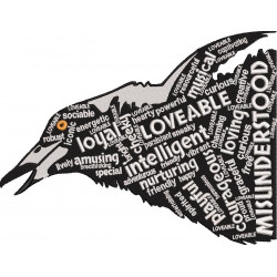 Bird Word Art