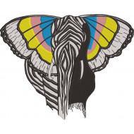 Butterfly Elephant