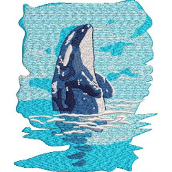 Whale Embroidery
