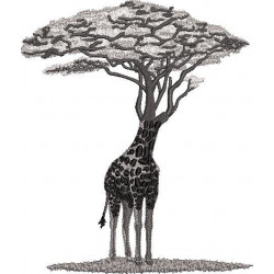 Giraffe Tree