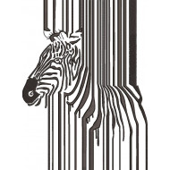 Zebra Design