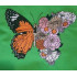 Floral Butterfly
