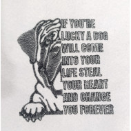 You're Lucky Dog Quote