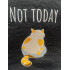 Not Today Tired Cat 