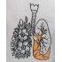 Floral Lungs Flower
