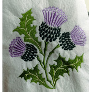 Scottish Thistle Plant