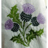 Scottish Thistle Plant