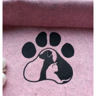 Dog Cat