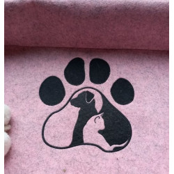 Dog Cat