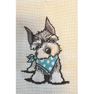 Schnauzer Pup