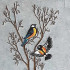 Birds on Tree