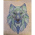Colorful Wolf