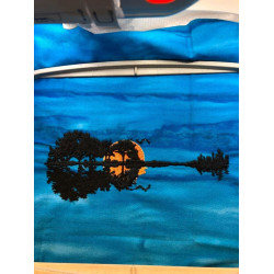 Trees and Sun Set Reflection In Water Pattern