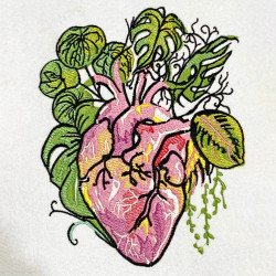 Anatomical Heart
