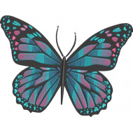 Colorful Butterfly 